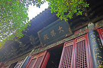 �������������´���