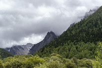 �����Ƕ����