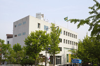 ׶-ʹ