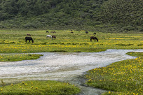 �Ƕ��ݵ���