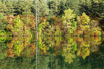 ����ɽ������ɫ���ַ��