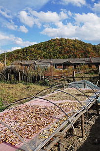 ����ɽ����ɽ���˼���ɹ��Ģ��