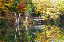 ����ɽɭ�ֺ������ֹ۾�̨