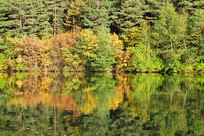 ����ɽɭ�ֺ�Ũ������ɫ