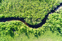 ������ɫ�ֺ��������� 