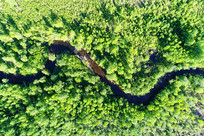 ����Į����ɫ�ֺ����� 