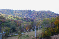 �������ǲ���������ѩ���³�