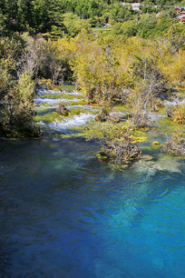 �����կ����ɫϪ��