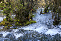 ��կ������Ϫ��