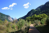 ��կ��ɭ��ջ��