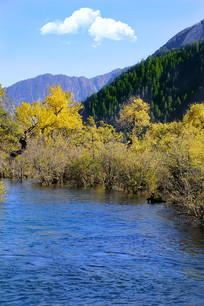 ��կ��ͯ������