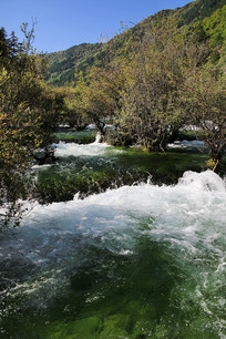 ��կ��Ϫ��