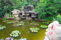 ����������ɽ����ʯ��԰����