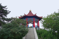 ����������ɽ����ͤ