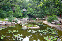 ����������ʯ��԰���س���