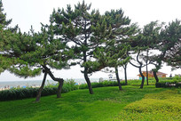 ��������ʯ԰��԰���