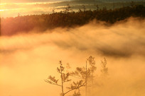 ���˰�������ɽ���ƺ�����