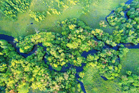 ���Ĵ���Ϫ����ɫ 