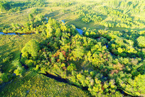 ���Ĵ��˰����＾ɭ��Ϫ���羰