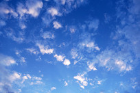 ������ƶ�� 