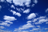 ������Ʒ��