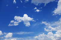 ������ƾ���