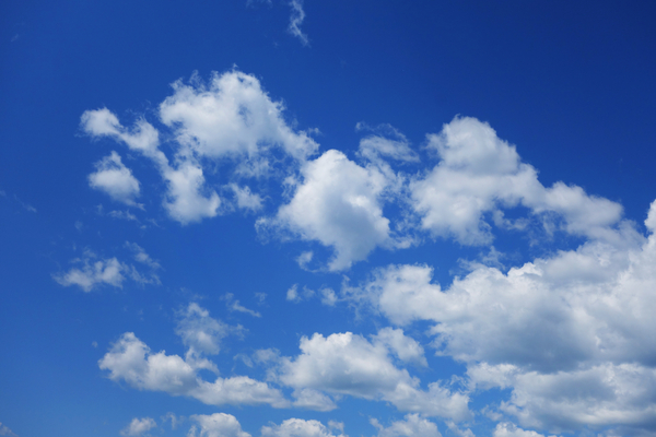 ������ƾ�ɫ