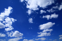 ������ƾ�ɫ