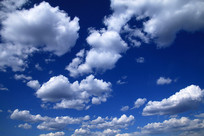 �����Ʋ�