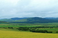 ���ɹź��ױ���ũ����԰��� 