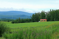 ũ����ɫԭҰС�ݷ羰