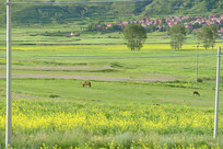 ����¯���ز�ԭ������������� 