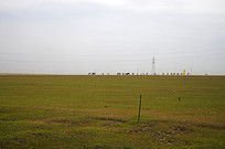 ����Ĳ�ԭ�ݳ�