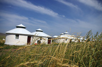 ���ʺ������ɹŰ�