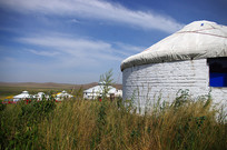 �ɹŰ�����