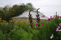 ����ס������