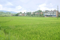 �Ĵ������������԰��Ӽ����� 