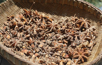 �й���ͳ��ζ����ʳ��-�˽� 