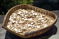 �й���ͳ��ζ����ʳ��-ɳ��