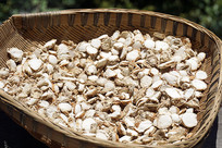 �й���ͳ��ζ����ʳ��-ɽ�� 