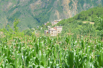 �����ݵ��ͼ׾Ӳ�կ���׵�