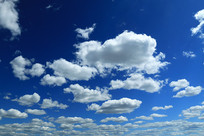 ���˰�����ƶ��