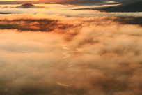 ���˰���ɭ���ƺ�����