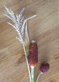ݮ 