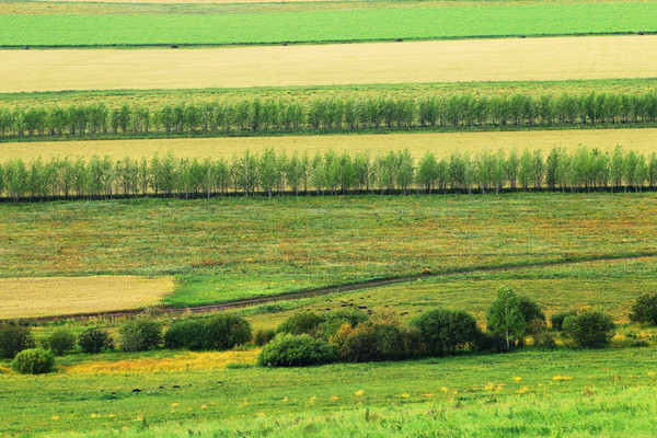 ���ױ�������ũ�������