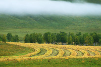 ���ױ�������ɽ��ũ�ﳿ��