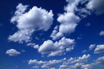 ������Ʒ羰