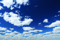 ������ƾ���