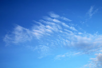 �����Ʋ�