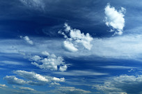 �����Ʋ� 